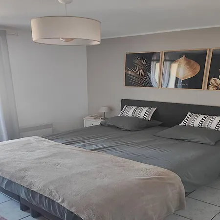 Villa Climatisee Avec Piscine Et Jardin A 300m Des Marches Et Commerces, Proche Plage. - Fr-1-782-56 Le Barcares