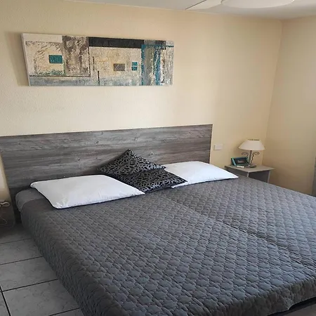 Climatisee Avec Piscine Et Jardin A 300m Des Marches Et Commerces, Proche Plage. - Fr-1-782-56 Villa Le Barcarès